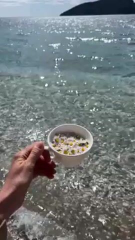 Here is a description of the video.
The video depicts a person's hand holding a white teacup filled with water and small daisy-like flowers. The background shows a body of water, possibly a sea or ocean, with sunlight reflecting on the surface creating a sparkling effect. The water appears clear and shallow near the shore. In the distance, there is an island or landmass with some vegetation. The overall scene suggests a tranquil and natural setting.