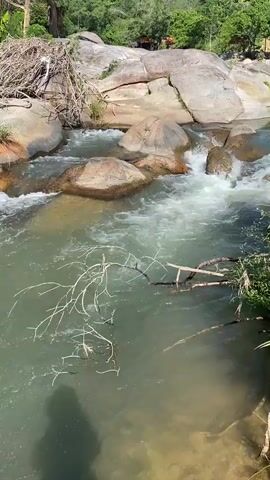 A clear, narrow stream flows over large, smooth rocks and pebbles in a natural, outdoor setting. The water is greenish-blue and appears shallow, with small rapids forming around the rocks. Tree branches, some submerged and some fallen on the bank, are visible. The surrounding environment is lush and green, with trees and vegetation on a hillside in the background. The sun is shining, casting shadows on the water and rocks. The video appears to be shot from a slightly elevated perspective, looking down at the stream. There is a narrow, rustic wooden walkway in the foreground.