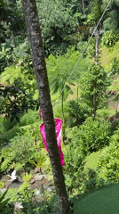 Tourists enjoy adventure activities at Tegallalang rice terraces, Bali