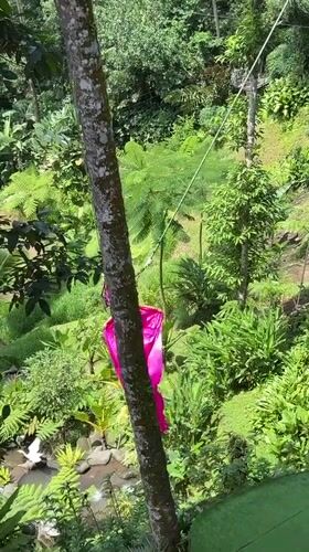 Tourists enjoy adventure activities at Tegallalang rice terraces, Bali