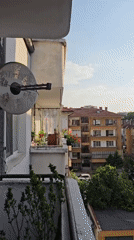 Plovdiv resident captures quiet domestic moments, wildlife, pets
