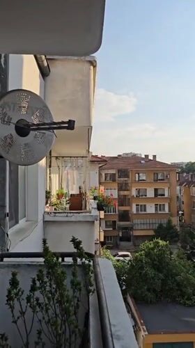 Plovdiv resident captures quiet domestic moments, wildlife, pets