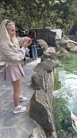 The video shows a pond with three swans swimming in it. The water is clear and green. There are rocks around the edge of the pond. People are standing by the pond looking at the swans. The people are wearing casual clothes. There are trees in the background. The weather appears to be sunny.