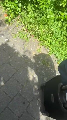 The video shows a person pulling a black rolling suitcase with a blue and white duffel bag on top along a paved path. The camera is positioned behind the suitcase and the person, capturing their hand on the suitcase handle, which has visible tattoos. The paved path is bordered by green foliage on one side and a concrete curb on the other. The scene transitions from a close-up of the suitcase and path to a wider shot revealing a parking lot with several parked cars and a large apartment building in the background. The day appears to be sunny.
