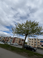 Ordinary morning street life documented in Petropavlovsk-Kamchatsky, Russia