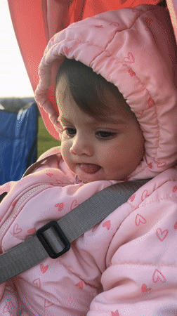 Baby in stroller captured on video in Valchovtsi, Bulgaria