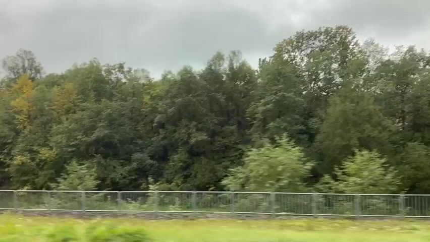 The video shows a view from a moving vehicle, likely a train, looking out at a dense line of trees. The sky is overcast with thick, gray clouds. A metal fence runs horizontally across the lower part of the frame, separating the viewer from the trees. Beyond the fence is a grassy area. The trees are a mix of deciduous and coniferous varieties, with varying shades of green foliage. The movement of the vehicle creates a slight blur, particularly in the foreground. The overall impression is of a natural, slightly gloomy landscape.