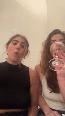 Passover Seder celebration captured in Tel Aviv apartment gathering