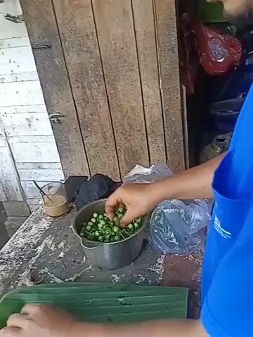 A man in a blue shirt is shown in a close-up shot, his hands are in the process of separating small green berries from their stems. The berries are being collected in a metal bowl that sits on a wooden table. To the left of the bowl, a clear glass with a brown liquid, possibly coffee, is visible. In front of the table, a large, green banana leaf serves as a makeshift cutting board, and some of the berries are already placed on it. Behind the man, a weathered wooden structure is apparent, suggesting an outdoor or rustic setting. The overall scene depicts the preparation of these berries, possibly for a meal or recipe.