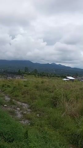 This is a vertical video recorded from a stationary viewpoint. The camera looks out over a landscape with a foreground of tall, green grass and some dry, brown foliage. In the midground, there are a few houses with visible roofs and some unfinished construction. Beyond the houses, a road is visible with utility poles and wires running alongside it. In the background, there are rolling green hills or mountains under a cloudy sky. The lighting suggests it is daytime, but the clouds create a somewhat overcast atmosphere. There are no people or animals visible in the frame.