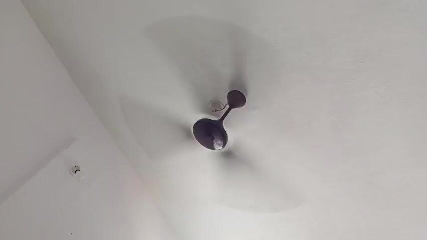 The video shows a dark-colored ceiling fan rotating against a white ceiling. The fan has three blades and is centrally mounted. A small, white smoke detector is visible in the lower left corner of the frame. The ceiling has a slightly textured surface. The camera is pointed upwards towards the fan.