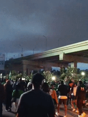 Crowd walks under Nairobi overpass carrying plants, branches