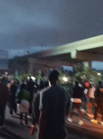 Crowd walks under Nairobi overpass carrying plants, branches
