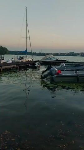A stationary camera captures a serene waterscape at dusk. The foreground is dominated by dark, rippling water reflecting the sky and surrounding objects. Patches of green aquatic plants float on the surface, and fallen leaves are visible near the bottom edge. Several wooden docks extend into the water from the left and center. Moored to these docks are various watercraft, including a sailboat with a tall mast and a blue sail, several smaller boats, and at least one boat with an outboard motor. In the middle ground, a long wooden walkway or pier curves into the distance towards a tree-covered island. The background shows a distant shoreline with buildings and trees under a pale, dusky sky. The overall impression is one of tranquility and stillness.