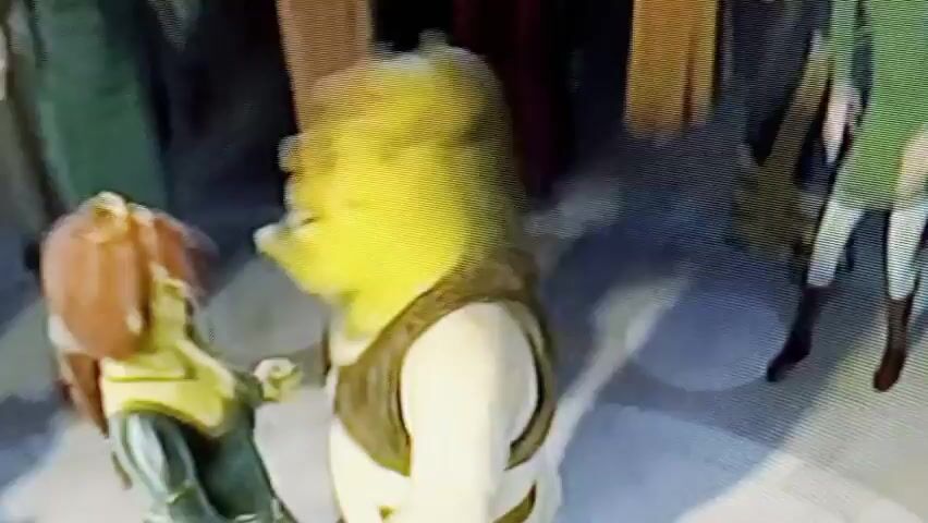 The video depicts an animated scene with multiple characters. In the foreground, a character resembling Shrek is visible, wearing a brown vest and a green hood. Behind Shrek, a crowd of characters is gathered, dressed in various colored tunics and leggings. The background appears to be a stage-like setting with a spotlight. Further into the scene, a donkey character is shown on the stage, seemingly singing or performing. The overall atmosphere suggests a festive or celebratory event. The animation style is characteristic of the early 2000s.