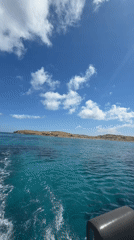 Boat approaches Delos island under sunny Mediterranean skies