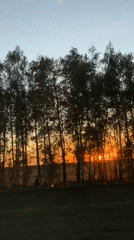 Sunset observed through trees in Сыйрышбашево, Russia