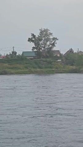 A wide, calm river flows horizontally across the lower half of the frame. In the upper half, a vegetated embankment rises from the riverbank, dotted with several houses and trees. The sky is overcast and a light gray. The scene is static with no discernible actions or interactions.