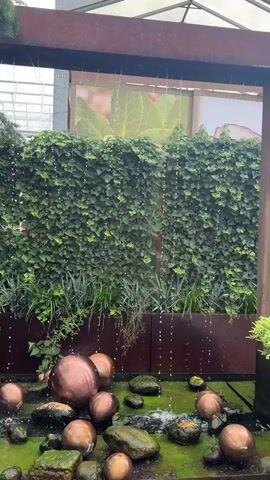 The video shows a close-up view of an outdoor decorative water feature. A rusted metal frame encloses the scene. Water is cascading down from the top of the frame, creating a curtain-like effect. Behind the falling water, a dense wall of green ivy covers a planter. In the foreground, a shallow pool contains moss-covered rocks and several large, shiny copper-colored spheres. The water flows into the pool, creating ripples around the spheres and rocks. The background appears to be a greenhouse or outdoor garden center, with a glass roof visible above the ivy wall, and large photographic prints of plants mounted on a wall behind the ivy. The overall impression is one of a serene and artistic water installation.