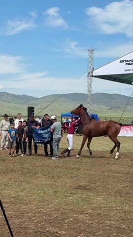 The video opens on a grassy outdoor area with a blue sky and scattered clouds. In the foreground, a group of people are gathered around a brown horse. One person is holding a large blue blanket with white lettering, and several individuals appear to be presenting it to another person. The horse is wearing a red bridle and is being held by a person in a red and white jockey outfit. Behind the group, a stage is set up with a white canopy and speakers. In the background, rolling hills and mountains are visible. Several people are standing in the background, watching the event. The overall scene suggests an awards ceremony or presentation related to horses.