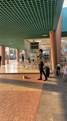 Street musician performs for pedestrians in Guayaquil
