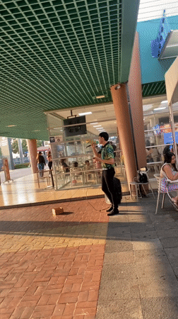 Street musician performs for pedestrians in Guayaquil