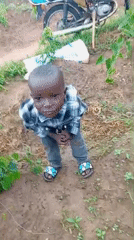 Farm morning in Baltap, Nigeria — crops, fieldwork, and smiles