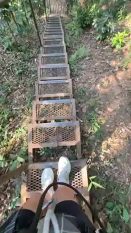 A person is descending a long, steep metal staircase in a lush forest. The stairs are made of metal grating with a metal railing along the side. The person is wearing white sneakers and shorts, and is holding onto the railing. Other people can be seen at the top of the stairs. The stairs appear to be part of a zipline or other outdoor adventure course. The surrounding environment is filled with green vegetation, including trees, ferns, and other plants. The light suggests it is daytime.