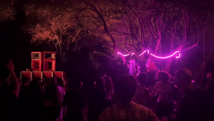 Outdoor forest dance party documented in Rome early morning
