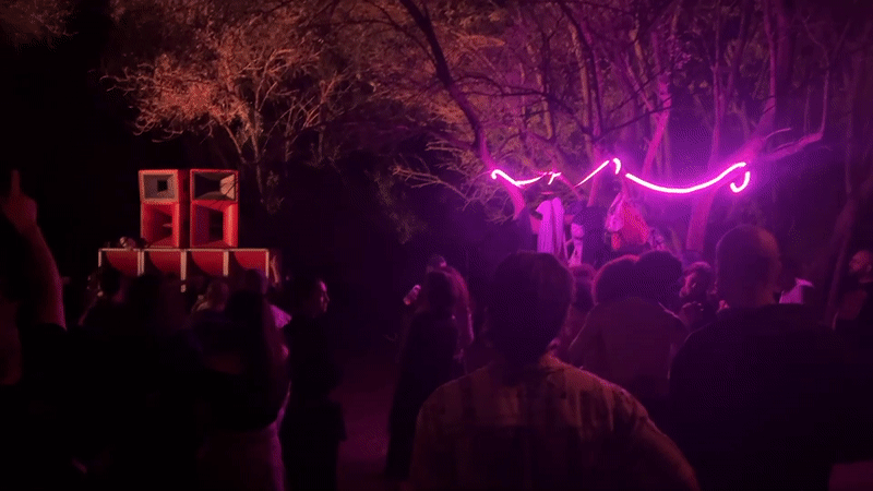 Outdoor forest dance party documented in Rome early morning