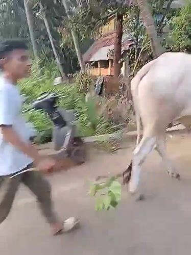 Daily life scenes captured in Badem, India village