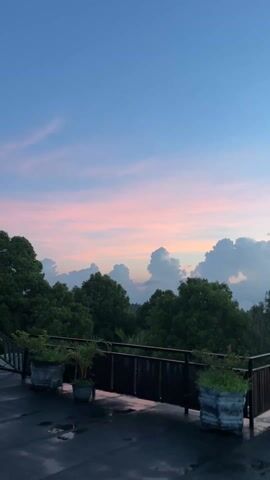 The video shows a view from a balcony overlooking a landscape with lush green trees under a beautiful sky. The sky is a blend of soft pastel colors, transitioning from a light blue at the top to shades of pink and orange near the horizon. There are fluffy, white clouds scattered across the sky, some tinged with the colors of the sunset. The balcony has a dark metal railing, with several potted plants situated along its edge. The floor of the balcony appears to be wet. The camera pans slightly, shifting the angle of the view but maintaining focus on the sky and landscape.
