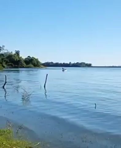 The video shows a calm, wide river under a clear, blue sky. The riverbank is covered with green vegetation, with some bare tree trunks sticking out of the water near the shore. Across the river, more vegetation lines the opposite bank. In the middle of the river, a small watercraft with figures on it can be seen moving across the water. A bird flies in the sky above the watercraft.
