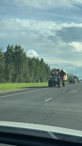 The video begins with a close-up view of a blue tractor towing a trailer full of hay. The tractor is on a paved road, with trees and a field on the left side of the road. The sky is cloudy. The camera then pans to the right, showing another tractor in the distance. The video cuts to a wider view of the road, with the first tractor still visible in the foreground. The road is lined with trees on both sides. The sky is still cloudy, but there are patches of blue sky visible. The video ends with a shot of the road ahead, with a few cars in the distance. The clouds are still visible, but they are breaking up, and more blue sky is visible.