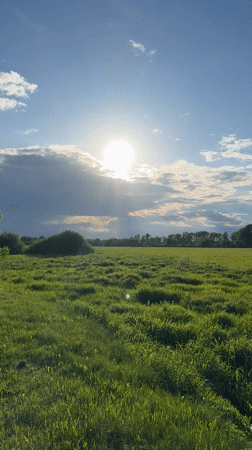 Woman documents sunny afternoon outing in Russian countryside