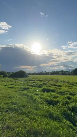 The video shows a wide green field on a sunny day. The sun is bright, partially obscured by clouds. Trees line the horizon. The sky is blue with scattered white clouds. The camera slowly pans across the scene.