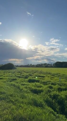 Woman documents sunny afternoon outing in Russian countryside