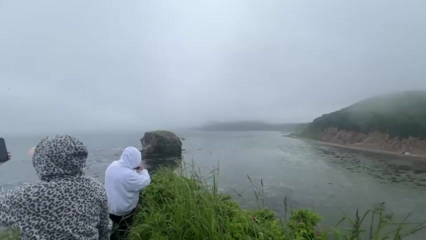 Two people are standing on a grassy cliff overlooking a foggy ocean. The person on the left is wearing a hooded jacket with a leopard print pattern and holding up a smartphone. The person on the right is wearing a white hooded jacket and appears to be looking out at the ocean. There are some rocks and birds visible in the water. The weather appears overcast and foggy. The camera is panning across the scene.