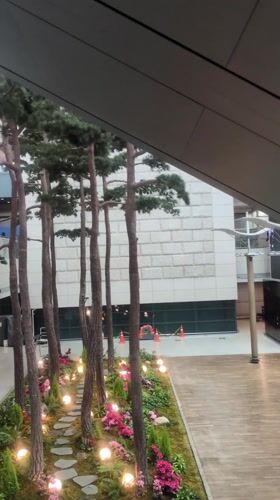 Early morning scenes documented at Incheon International Airport