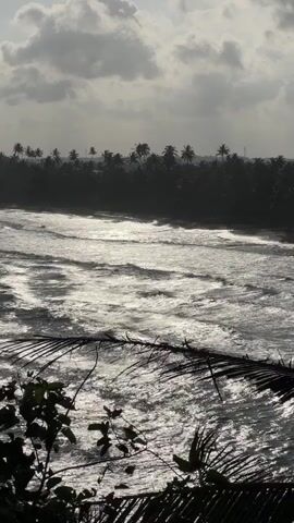 The video captures a slightly overcast day at a tropical beach. The sky is filled with dramatic, fluffy clouds, with hints of sunlight breaking through. In the mid-ground, the ocean is a turbulent expanse of white-capped waves, reflecting the dappled sunlight. A dense line of dark green palm trees stretches across the horizon, forming a lush backdrop to the scene. In the foreground, the silhouetted fronds of palm trees frame the view of the beach and sea, adding a sense of depth and emphasizing the tropical setting. The overall atmosphere is one of natural beauty and the dynamic power of the ocean.