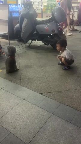 A young boy wearing a white t-shirt and dark shorts crouches on a tiled sidewalk, facing a small, grey dog that is sitting on a leash. The boy appears to be interacting with the dog, possibly talking to it or offering it something. Behind them, a dark grey scooter is parked, and further back, there are shelves stocked with various products, suggesting the scene might be near a store. Another person, an adult, is visible in the background, seated on a folding chair. The lighting appears to be artificial, indicating it might be evening or an indoor/covered area.