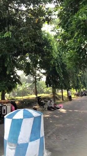 Daily neighborhood life in Sugih Waras, Indonesia