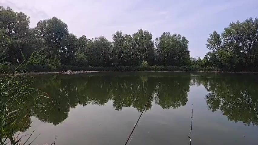 This video shows a calm body of water with trees reflecting on its surface. Two fishing rods are set up, indicating someone is fishing. The sky is partly cloudy. The scene appears to be a natural outdoor environment, likely a lake or riverbank.