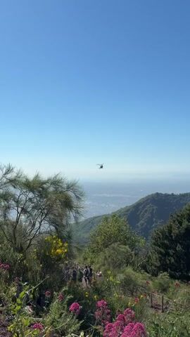 A helicopter flies in the distance above a valley. In the foreground, a trail winds up a mountainside. People walk along the trail. Wildflowers bloom in various colors, including pink and yellow. The sky is clear and blue. The ground is rocky and covered with dirt. A wooden fence with rope railings lines the side of the trail.