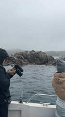 Boat crew documents seals on Russian coast during fog