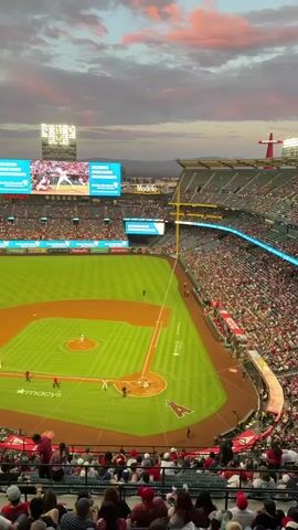 This is a vertical, handheld video of a baseball game in progress. The camera is positioned in the stands, looking down at the field and the crowd. The sky above is a mix of blue and pink clouds, suggesting it is either sunrise or sunset. In the foreground, there are spectators in baseball caps and casual clothing. The field itself is well-maintained green grass with a dirt infield. Several players are visible on the field in their uniforms. A large scoreboard is visible in the distance, displaying game information and player stats. The stadium is filled with spectators, many of whom are wearing red, the team's likely color. The overall atmosphere appears to be one of excitement and engagement with the game.