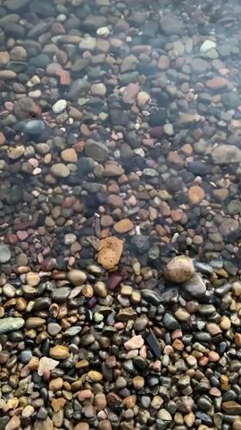 The video captures a close-up view of a pebbled shoreline with gentle waves lapping over the stones. The pebbles are varied in size, shape, and color, ranging from dark grays and blacks to lighter browns, tans, and pinks. Some are smooth and rounded, while others are more angular. The water is clear enough to see the individual stones beneath the surface. The waves are shallow and create a subtle shimmering effect as they move across the stones. The overall impression is one of a calm and natural waterfront.