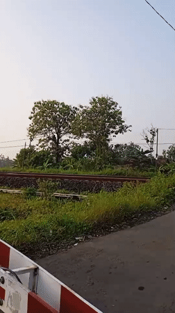 KAI freight train crosses rural railroad intersection in Sidorejo