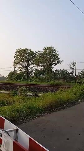 A freight train passes by a railroad crossing. The train is pulled by a white and orange locomotive with the KAI logo on the side. It is carrying a series of shipping containers, some of which are labeled "Cakraindo," "EVERGREEN," and "MERATUS." The crossing gate is down. The surrounding environment consists of vegetation and a clear sky.