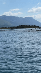 Aegean coastal waters and mountain shoreline, viewed from the water